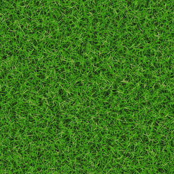 Bright Green Grass