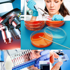 medical  research