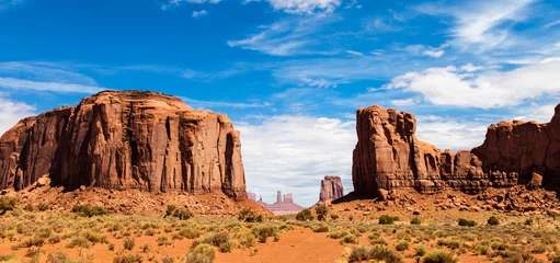 Stof per meter Monument Valley © Paolo Gallo