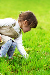 Fototapeta premium Little girl collect flowers
