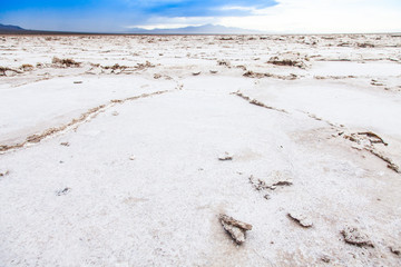 Salt Desert
