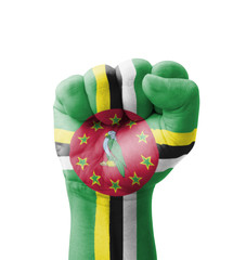 Fist of Dominica flag painted, multi purpose concept