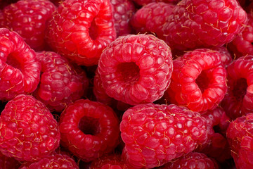 Ripe rasberry fruit horizontal close up background.