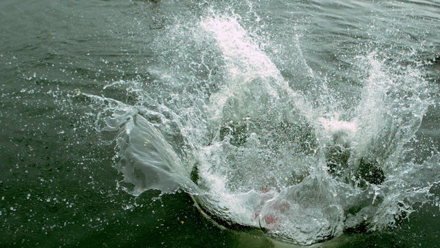 Man in wet suit doing a somersault into a lake in reverse
