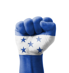 Fist of Honduras flag painted, multi purpose concept