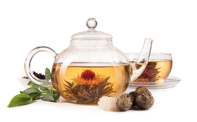 Blooming tea isolated on white background