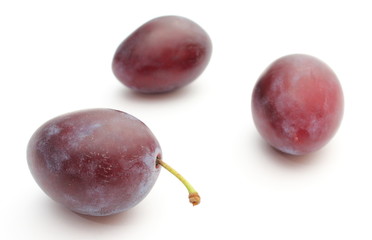 Fresh and natural plums on a white background