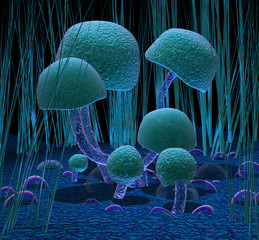 Mushrooms © neurostructure