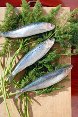 three sardines