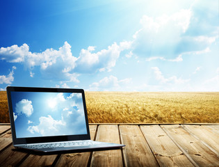 notebook and yellow wheat field