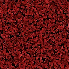 Obraz na płótnie Canvas Red Blood Cells Background Texture