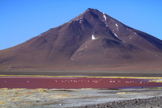 Laguna Colorada, Bolivien