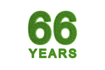 66 Years green grass anniversary number