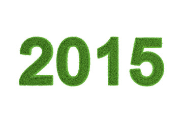 2015 New Year date in green grass