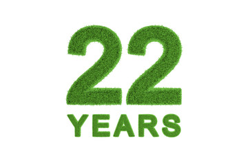 22 Years green grass anniversary numbers