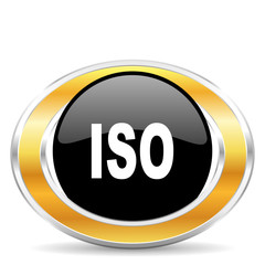 iso icon