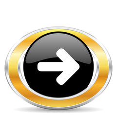 arrow right icon