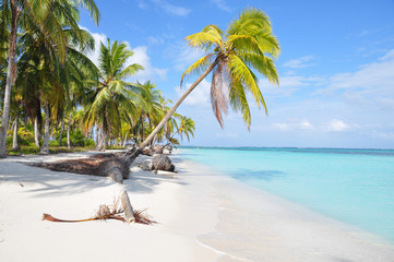 The most beautiful lonely beach in San Blas island, Panama. Cent - obrazy, fototapety, plakaty