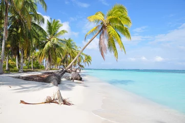 Foto op Aluminium The most beautiful lonely beach in San Blas island, Panama. Cent © diegocardini