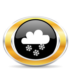 snow icon,