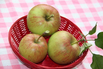 Frische Äpfel in rotem Körbchen