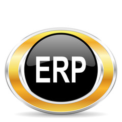erp icon
