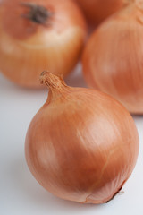 Fototapeta premium タマネギ