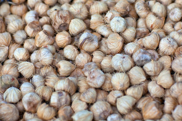 Betel nut or Areca close up background