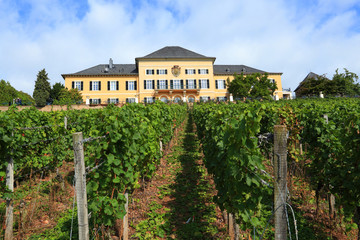 Fototapeta na wymiar Schloss Johannisberg (Rheingau) - wrzesień 2013