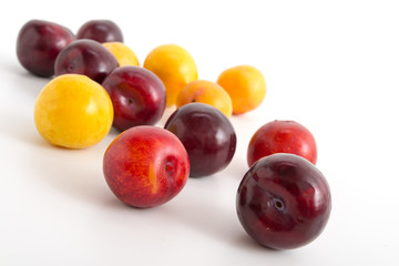 Verschiedene Pflaumensorten