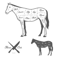 Butchers cuts of horse diagram
