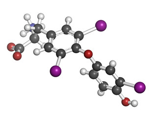Triiodothyronine hormone (t3, liothyronine) molecule