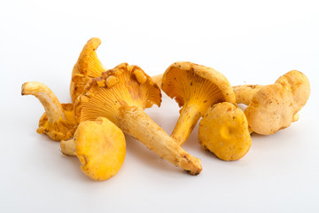 Pfifferlinge
