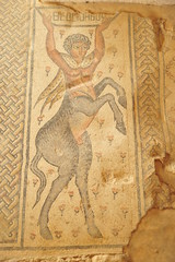 Fototapeta na wymiar Mosaic floor in Tzippori, Israel