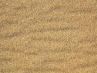 Fototapeta na wymiar wavy yellow sand texture background