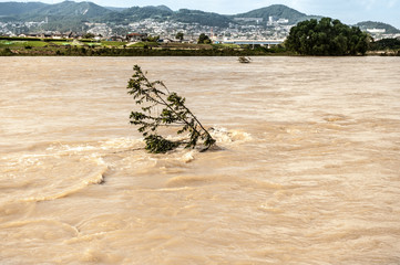 洪水の川