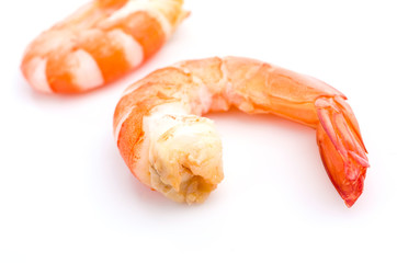 Shrimp