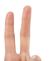 Hand isolated on white