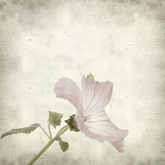 textured old paper background