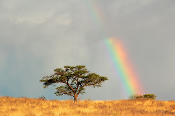 Rainbow landscape, Kalahari desert