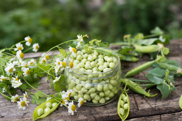 Canning peas at home, outdoors