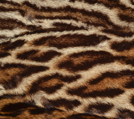 leopard fur texture
