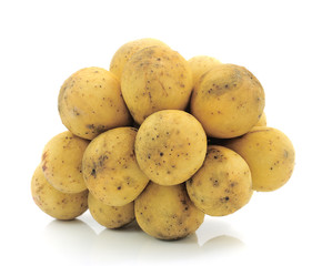 Wollongong on white background