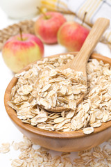 Oat flakes in a bowl and apples in the background, isolated