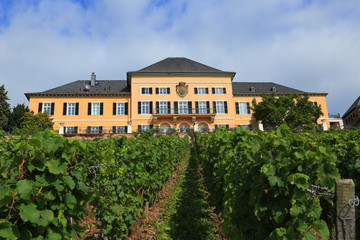 Schloss Johannisberg (Rheingau) - September 2013