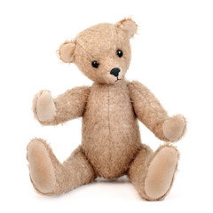 Teddy bear