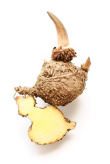 Konjac, Elephant yam, Stanley s water-tub