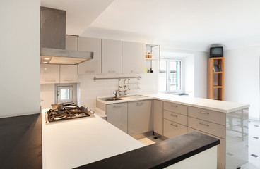Fototapeta na wymiar Interior, small apartment, white kitchen view