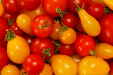 Rote und gelbe Cocktailtomaten.