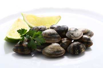 Vongole
